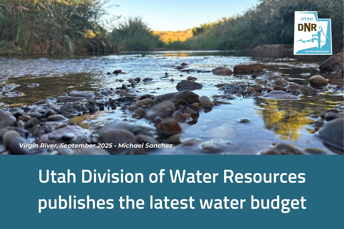 Image shows the Virgin River from a low angle on the shore. It shows trees and bushes along the banks of the river.