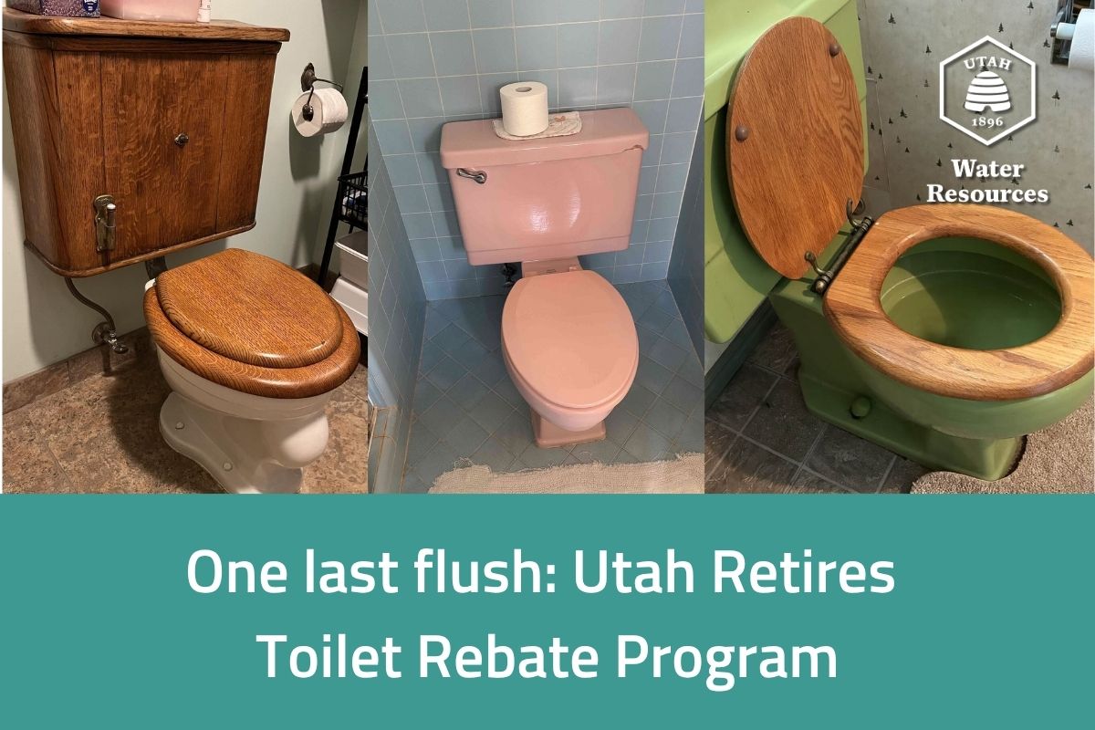 collage of three older toilets