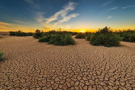 Dry, cracked mud in the foreground. Green bushes and wispy clouds in the background